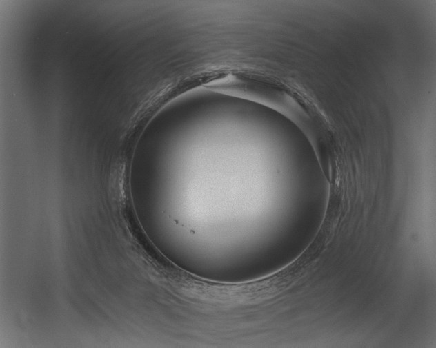 X0000054440023200508011441