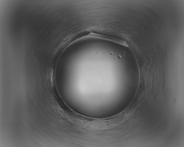 X0000054440024200508011441