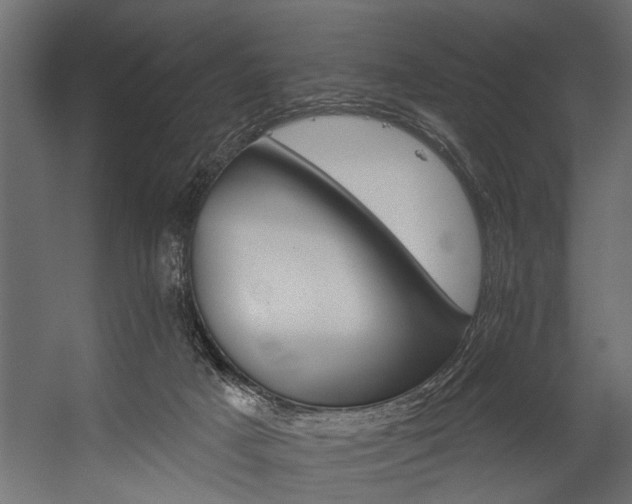 X0000054440025200508011441