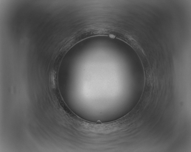 X0000054440026200508011441