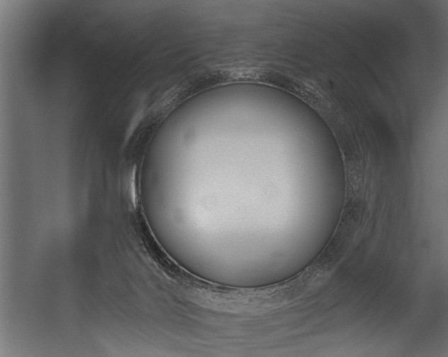 X0000054440028200508011441