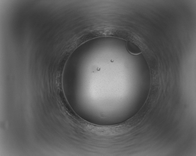 X0000054440030200508011441