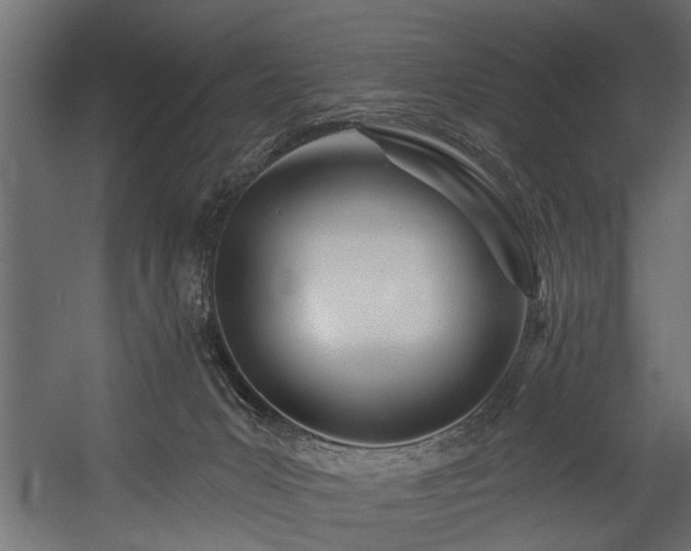 X0000054440031200508011441