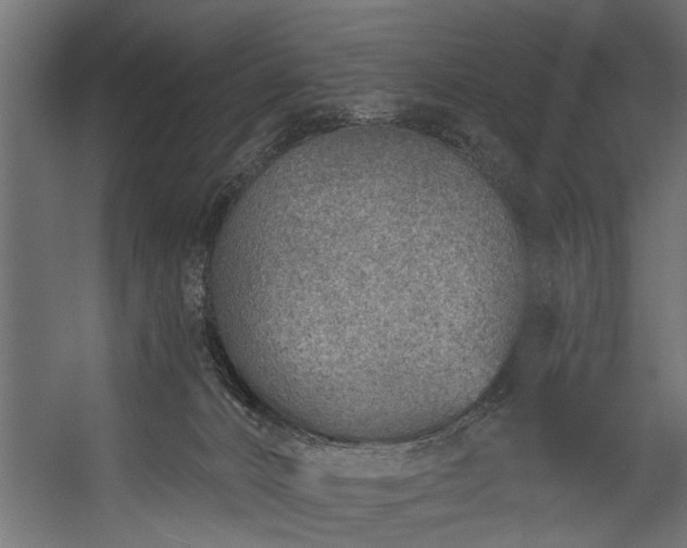 X0000054440032200508011441