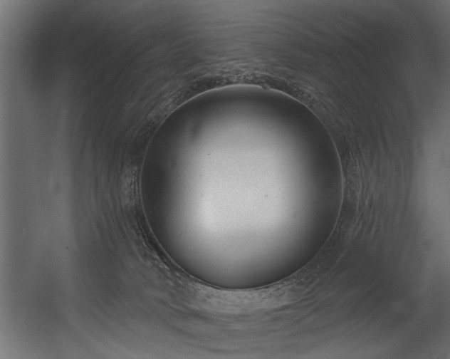 X0000054440034200508011441