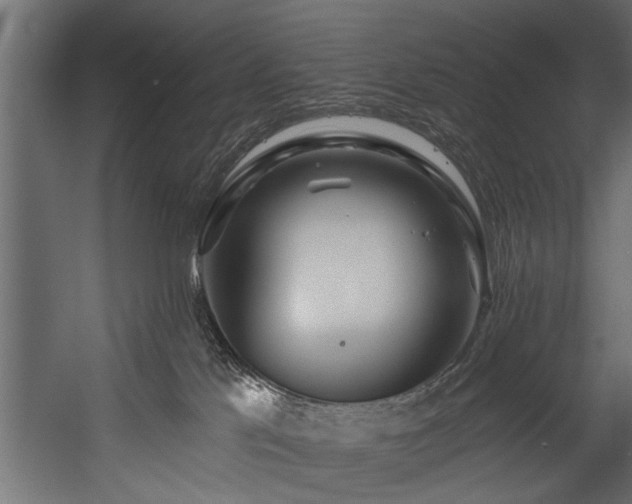 X0000054440041200508011441