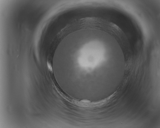 X0000054440047200508011441