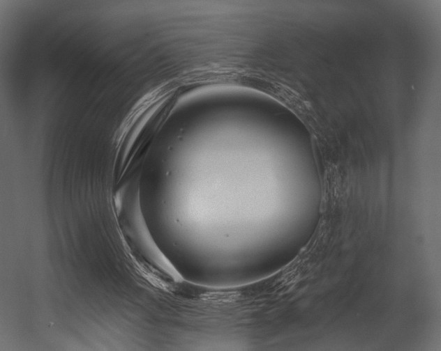 X0000054440051200508011440