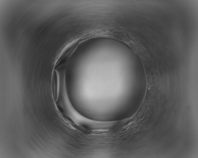 X0000054440052200508011440