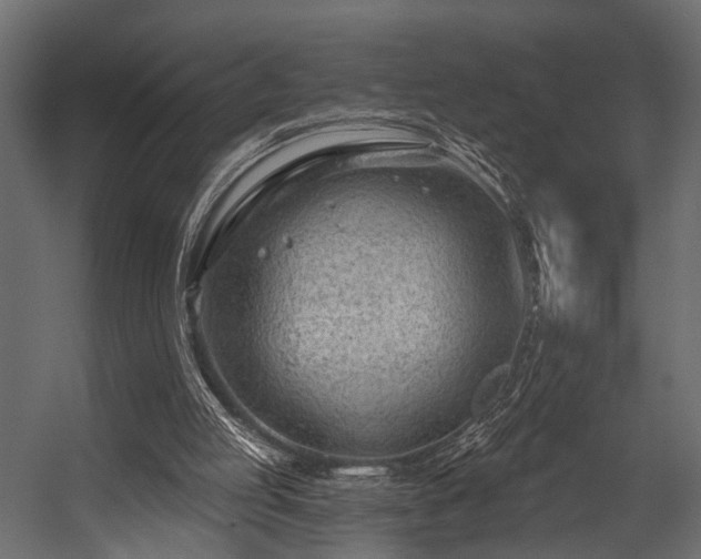 X0000054440053200508011440