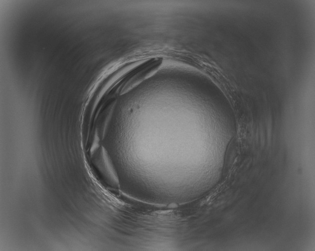 X0000054440054200508011440