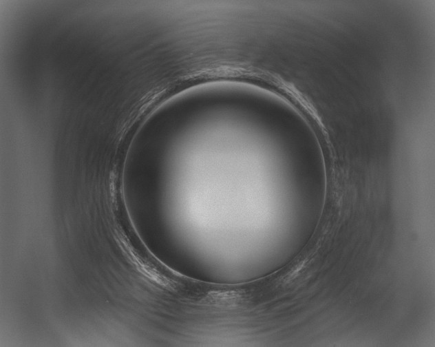 X0000054440057200508011440