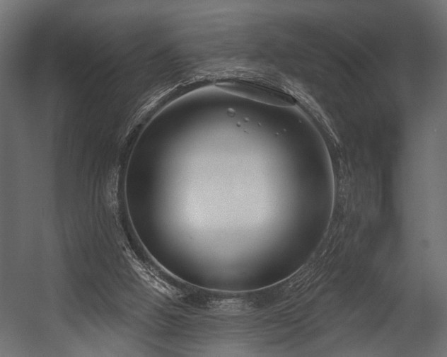 X0000054440058200508011440