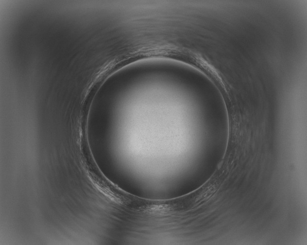 X0000054440059200508011440