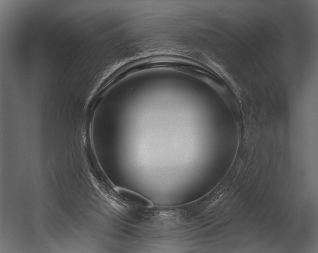 X0000054440060200508011440