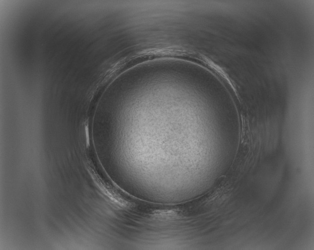 X0000054440061200508011440