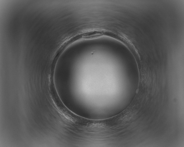 X0000054440063200508011440