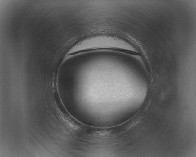 X0000054440065200508011440