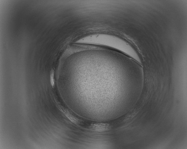 X0000054440069200508011441