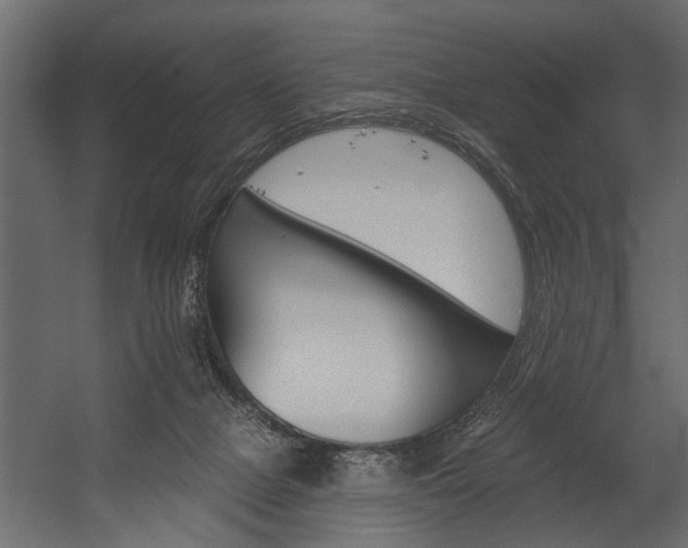 X0000054440073200508011441