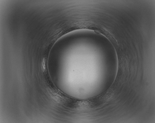 X0000054440075200508011441