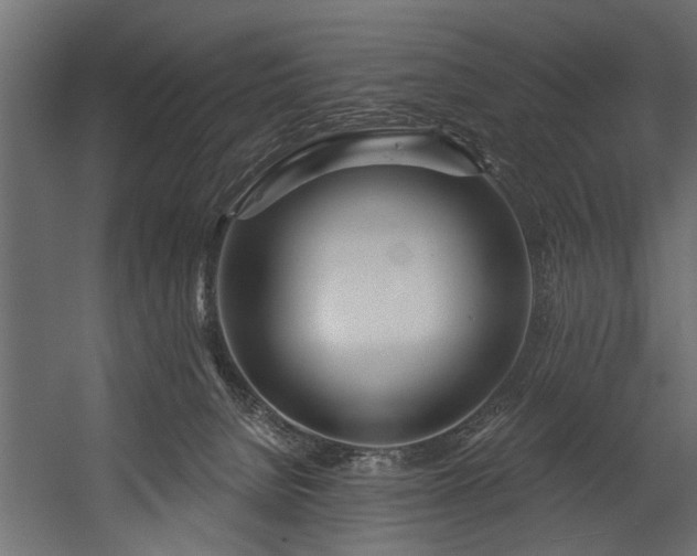 X0000054440080200508011441