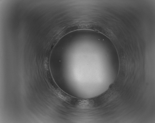 X0000054440083200508011441