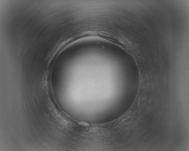 X0000054440098200508011440