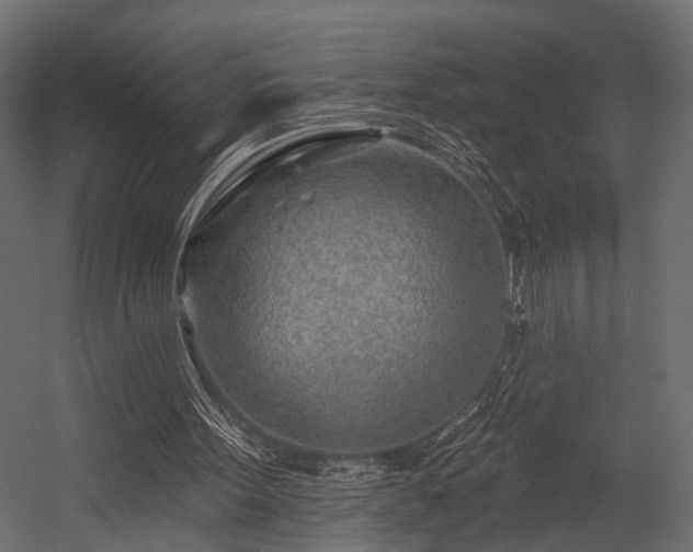 X0000054440099200508011440