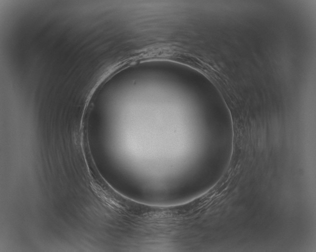 X0000054440100200508011440