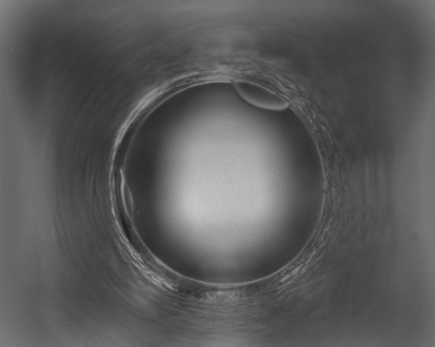 X0000054440102200508011440