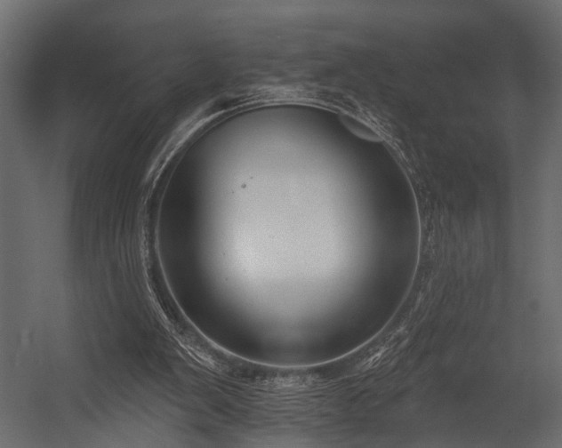 X0000054440103200508011440