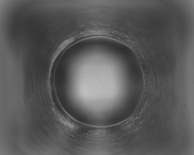 X0000054440104200508011440