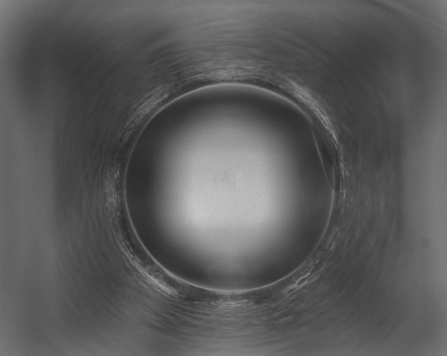 X0000054440105200508011440