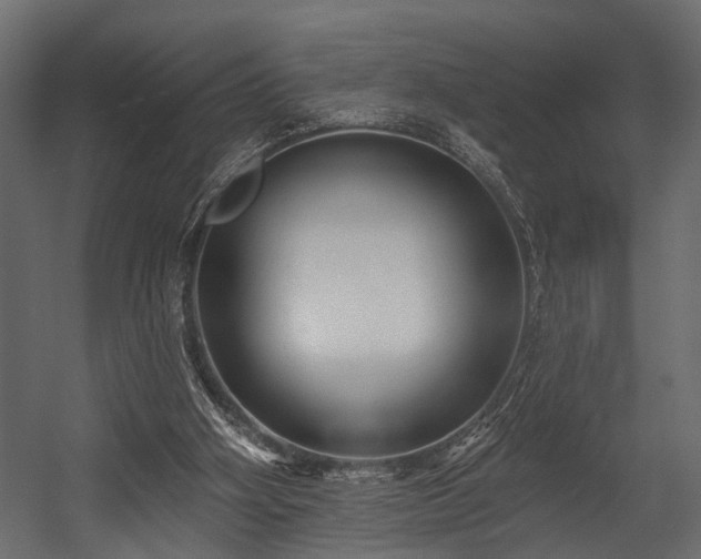 X0000054440106200508011440