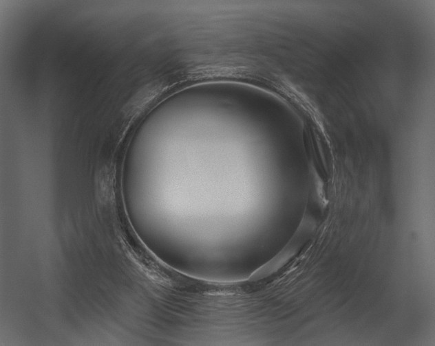 X0000054440107200508011440