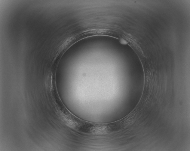 X0000054440110200508011440