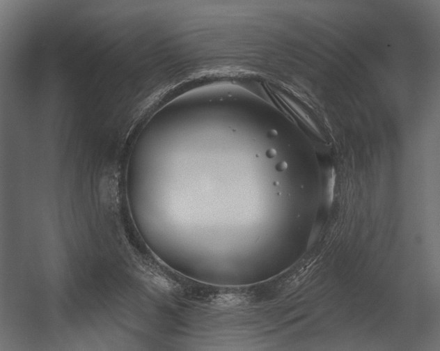 X0000054440111200508011440