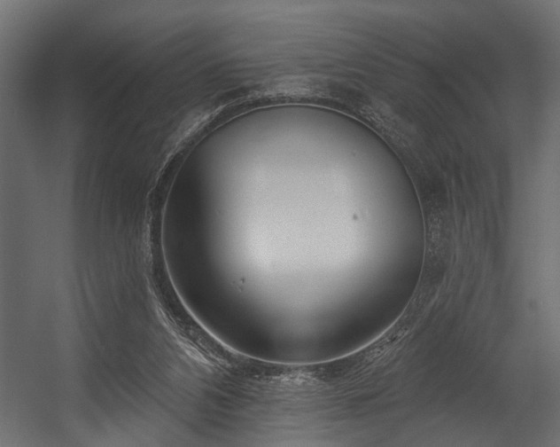 X0000054440112200508011440