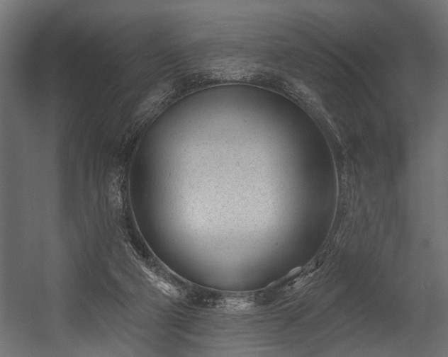 X0000054440114200508011440