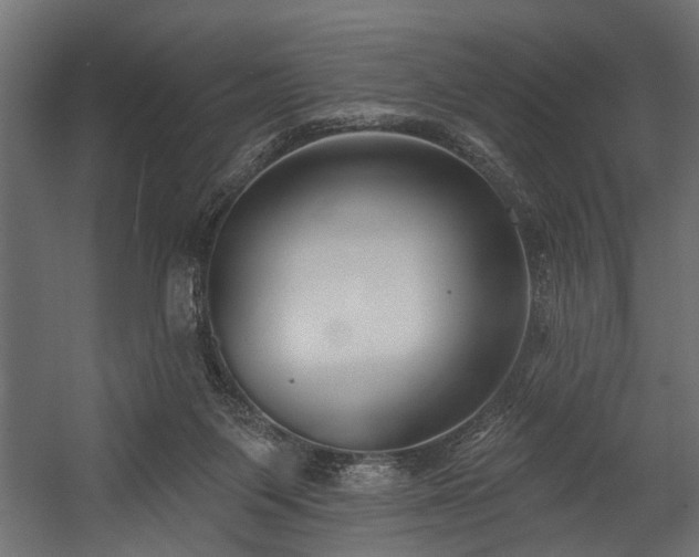 X0000054440119200508011440