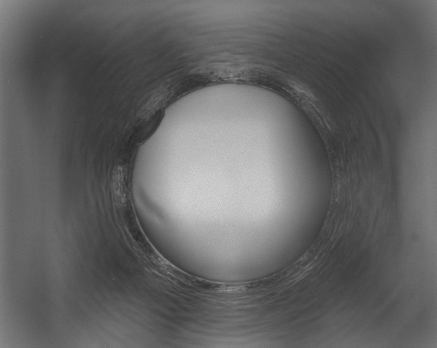 X0000054440121200508011440