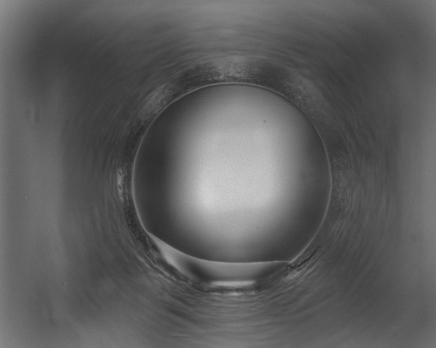 X0000054440123200508011440