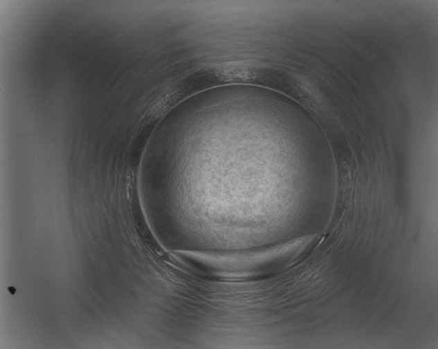 X0000054440125200508011440