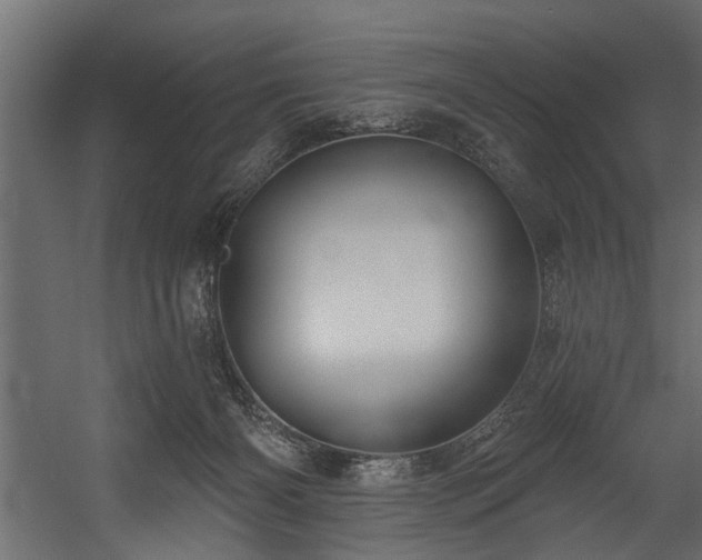 X0000054440126200508011440