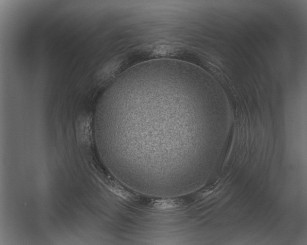 X0000054440127200508011440