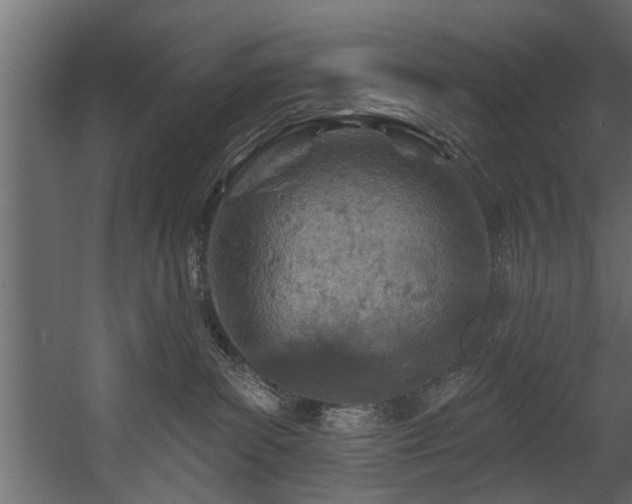 X0000054440139200508011439