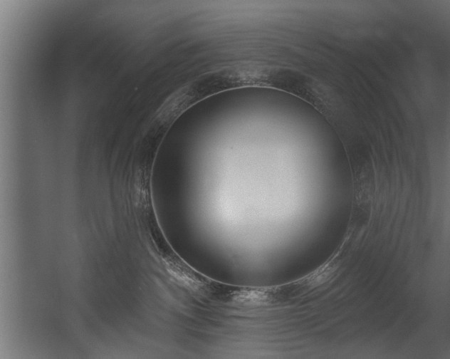 X0000054440140200508011439