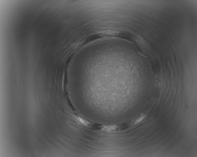 X0000054440143200508011439