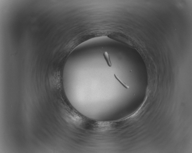 X0000054440144200508011439